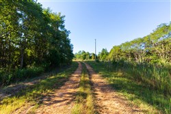 property photo for Redemption Ridge Tract 2, 5.07 acres for sale in Wayne County, Tennessee