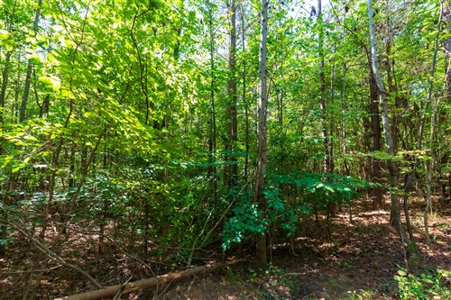 Redemption Ridge Tract 24