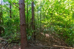 Redemption Ridge Tract 24