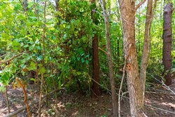 Redemption Ridge Tract 24