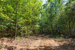 Redemption Ridge Tract 24