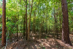 Redemption Ridge Tract 24