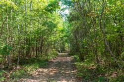 Redemption Ridge Tract 26