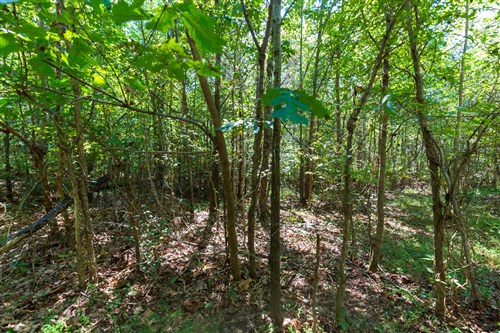 Redemption Ridge Tract 26