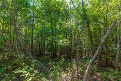 Redemption Ridge Tract 26