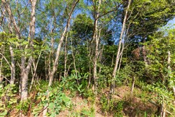 Redemption Ridge Tract 3