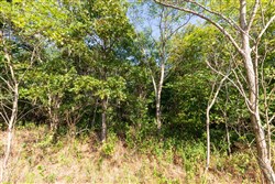 Redemption Ridge Tract 3