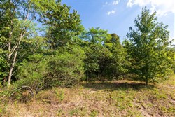 Redemption Ridge Tract 3