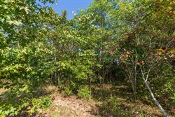 Redemption Ridge Tract 3