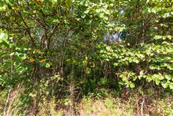 Redemption Ridge Tract 5