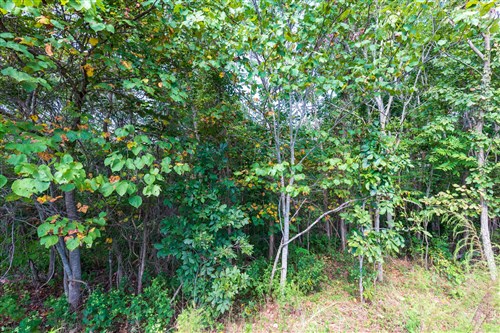 Redemption Ridge Tract 5
