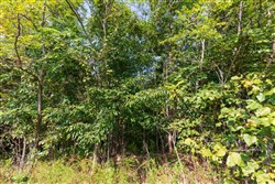 Redemption Ridge Tract 5