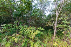 Redemption Ridge Tract 5