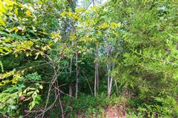 Redemption Ridge Tract 5