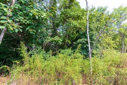 Redemption Ridge Tract 6