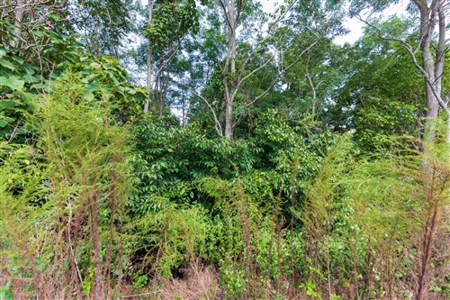 Redemption Ridge Tract 6