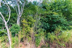 Redemption Ridge Tract 6
