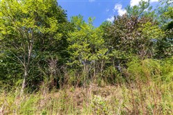 Redemption Ridge Tract 7