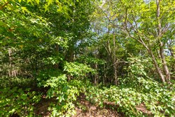 Redemption Ridge Tract 7