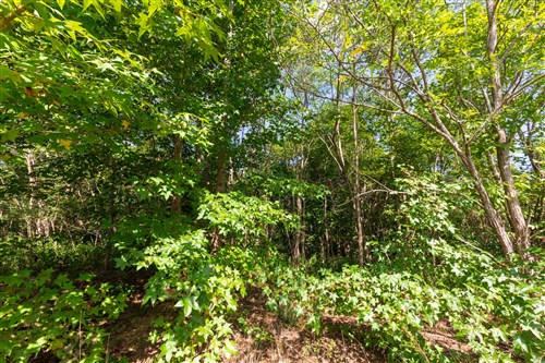 Redemption Ridge Tract 7