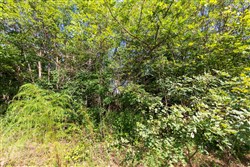 Redemption Ridge Tract 7