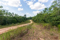 Redemption Ridge Tract 8