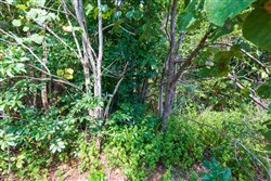 Redemption Ridge Tract 8