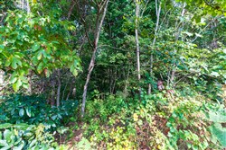 Redemption Ridge Tract 8