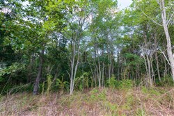 Redemption Ridge Tract 8