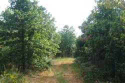 Sugartree Falls Tract 10