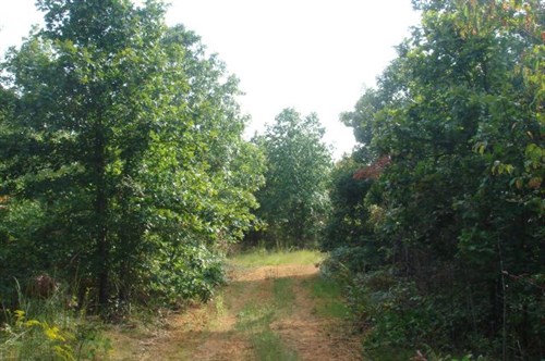 Sugartree Falls Tract 10