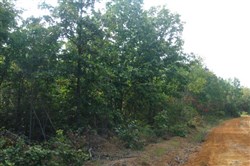 Sugartree Falls Tract 10