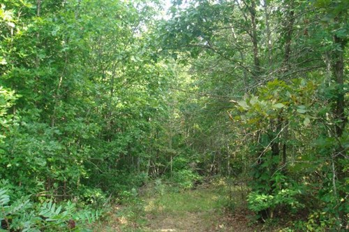 Sugartree Falls Tract 10