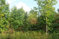 Sugartree Falls Tract 10