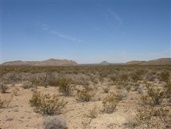 Terlingua Ranch Tract 6417