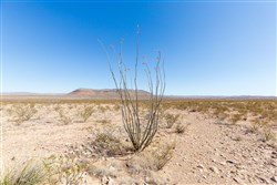 Sunrise Ranches Phase I Tract 14