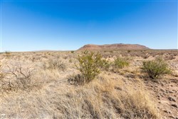 property photo for Sunrise Ranches Phase I Tract 23, 31.17 acres for sale in Hudspeth County, Texas