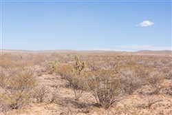 property photo for Sunrise Ranches Phase I Tract 23, 31.17 acres for sale in Hudspeth County, Texas