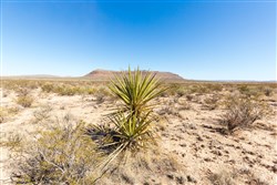 Sunrise Ranches Phase I Tract 26