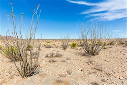 Sunrise Ranches Phase I Tract 26