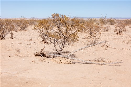 Sunrise Ranches Phase I Tract 7