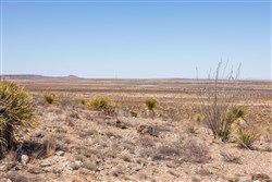 Sunrise Ranches Phase II Tract 31