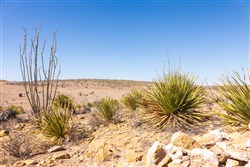 Sunrise Ranches Phase II Tract 31