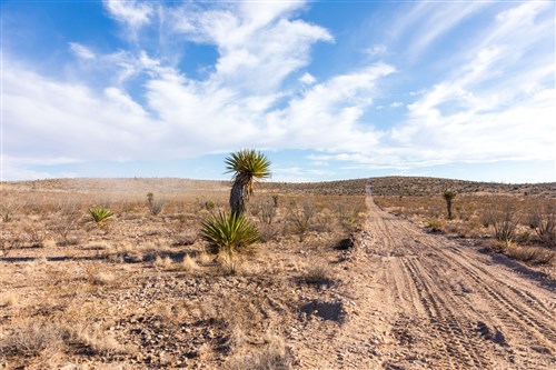 Sunrise Ranches Phase II Tract 42