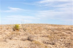 Sunrise Ranches Phase II Tract 42