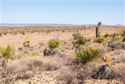 Sunrise Ranches Phase III Tract 105