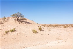 Sunrise Ranches Phase III Tract 105