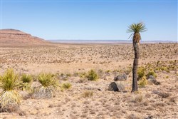 Sunrise Ranches Phase III Tract 105