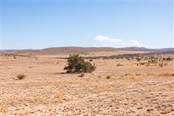 Sunrise Ranches Phase III Tract 108