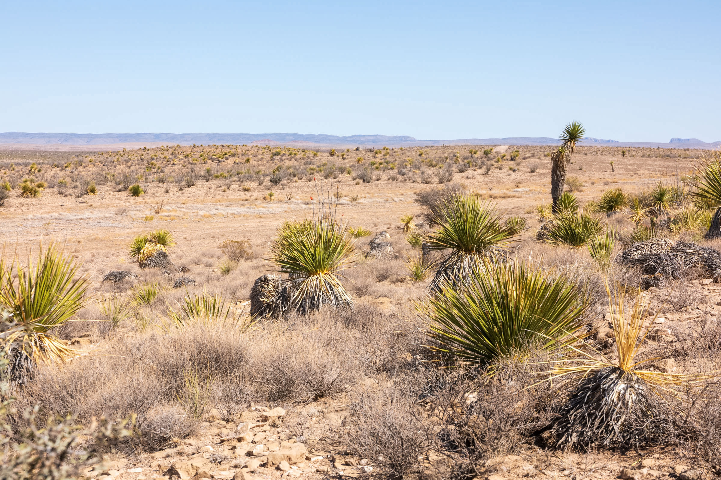 Tract 111 at Sunrise Ranches Phase III in Hudspeth County, Texas